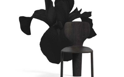 Iris chair sous les feux des projecteurs