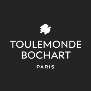 Toulemonde Bochart logo